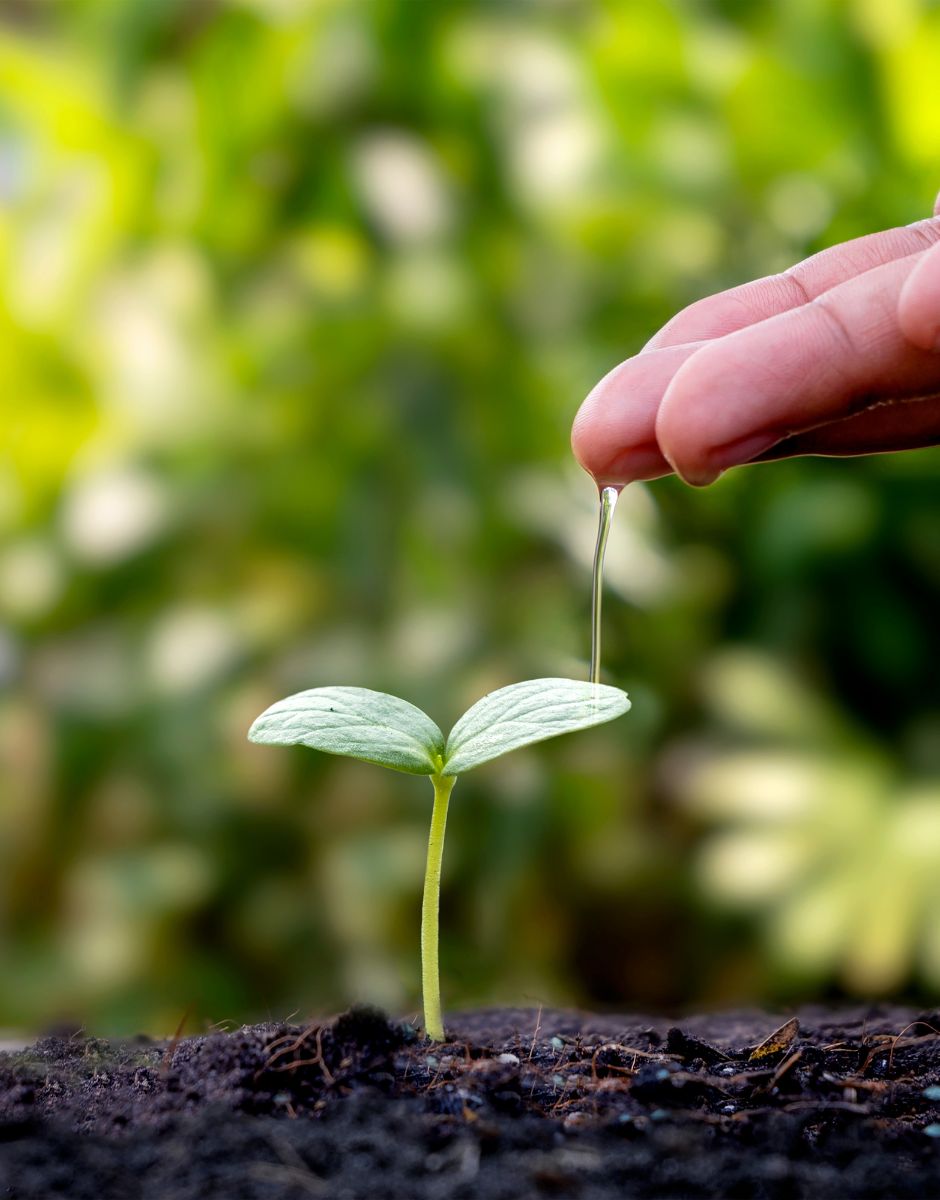 L’eau et l’environnement